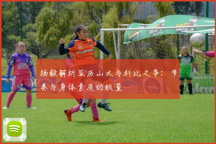 杨毅解析亚历山大与科比之争：节奏与身体素质的较量